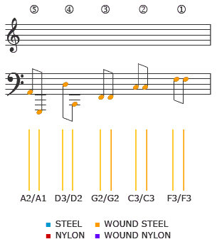 Bajo Quinto Chord Chart